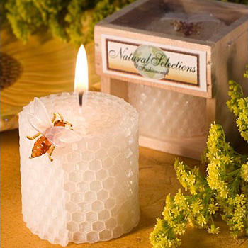 Fontes de festa de aniversário - Soy Wax avaliação e preço